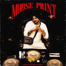 Take Notes by Sidhu Moose Wala Take Notes by Sidhu Moose Wala
